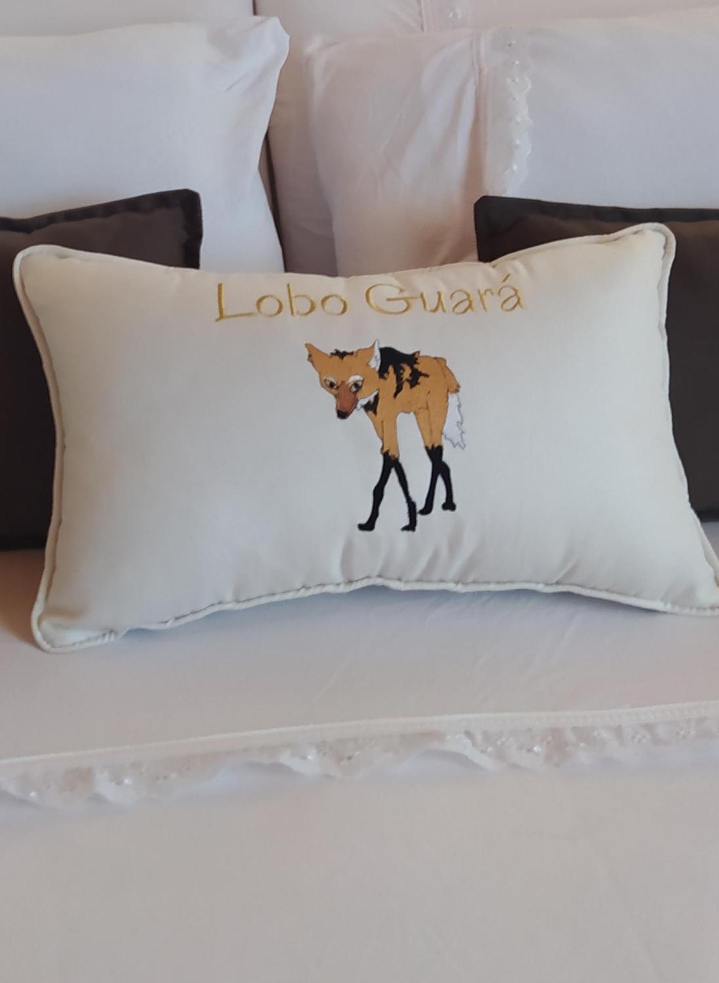 Lobo Guara Hospedagem Loft Alto Paraiso de Goias Ngoại thất bức ảnh